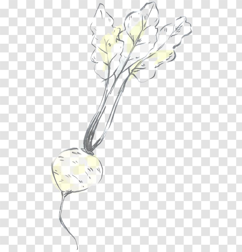 Floral Design Cut Flowers Line Art - Plant Stem Transparent PNG