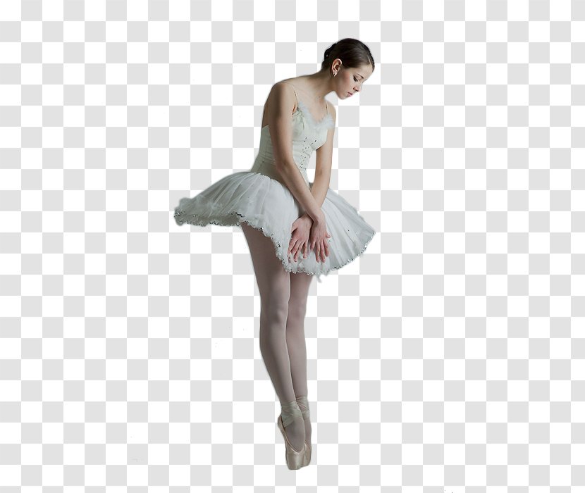 Ballet Dancer Balerin Cartoon Dancers Transparent Png