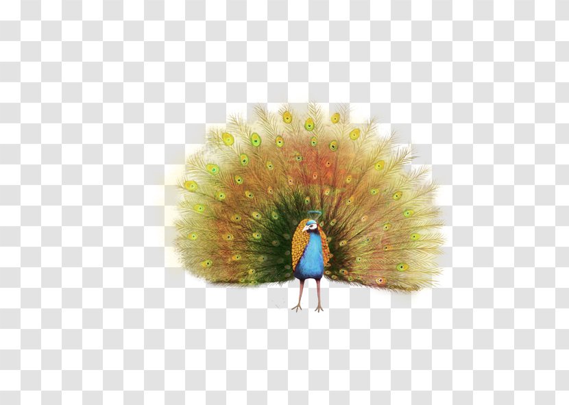 Peafowl Painting Feather - Animal - Peacock Transparent PNG