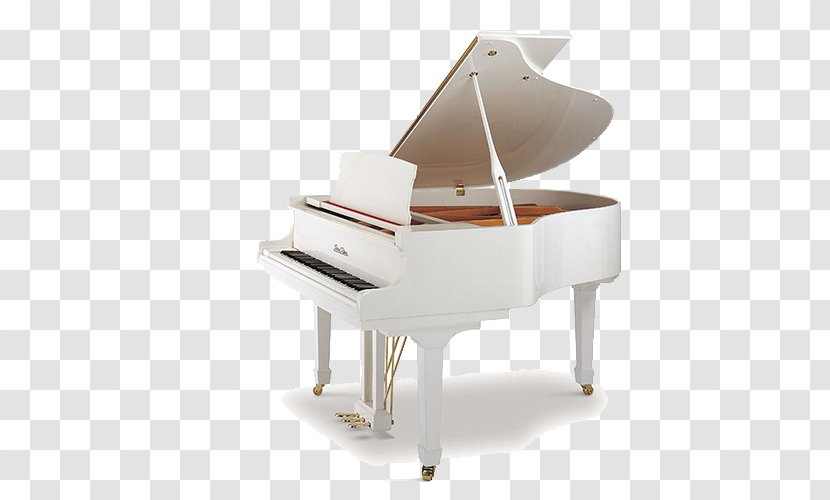 Grand Piano Guangzhou Pearl River Acoustics Musical Instrument - Cartoon Transparent PNG