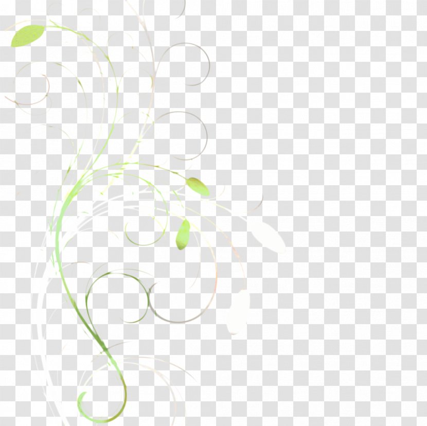 Green Leaf Background - Flower - White Transparent PNG