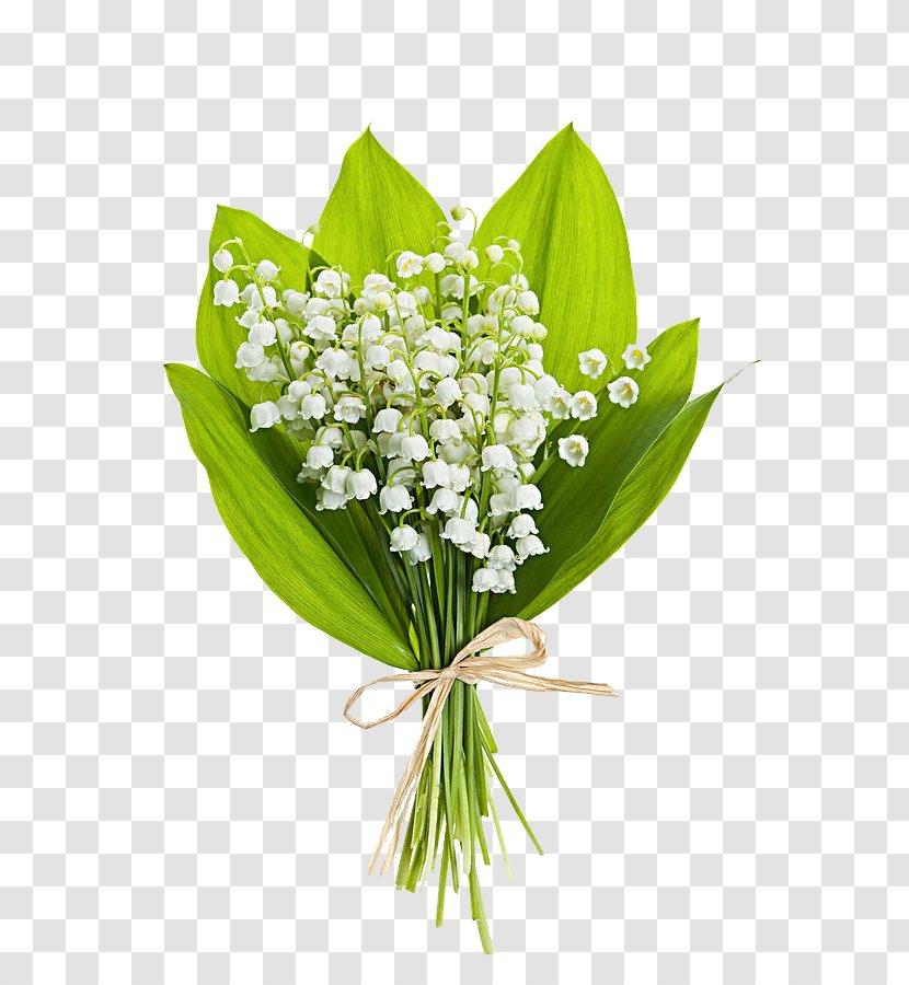 Lily Of The Valley Flower Bouquet Stock Photography Clip Art - Arranging - White Transparent PNG