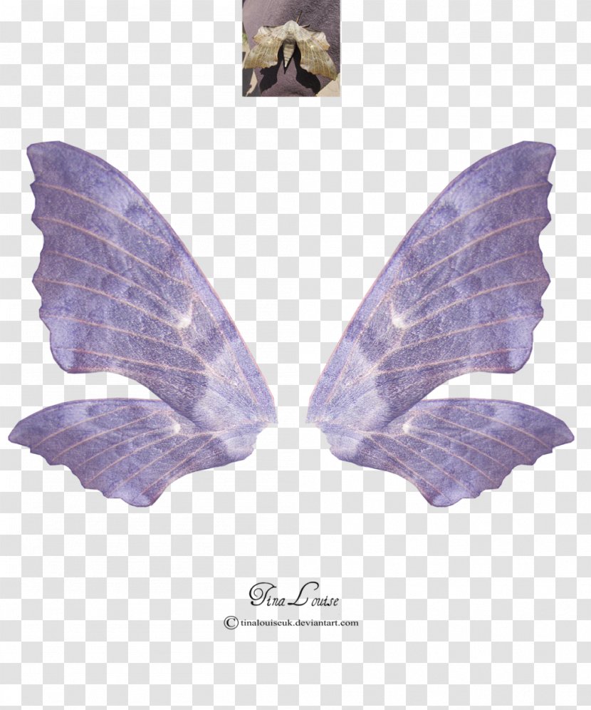 Fairy Art Clip - Wings Transparent PNG