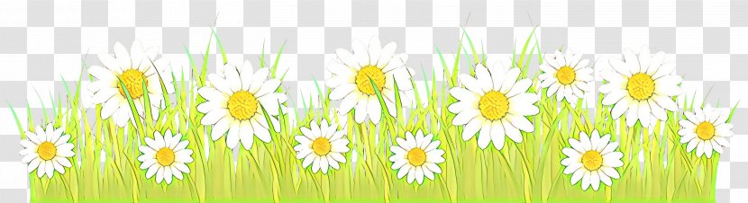 Green Grass Background - Text - Daisy Family Oxeye Transparent PNG