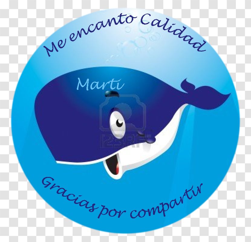 Cangurus Australianas - Image Resolution - Marine Mammal Transparent PNG