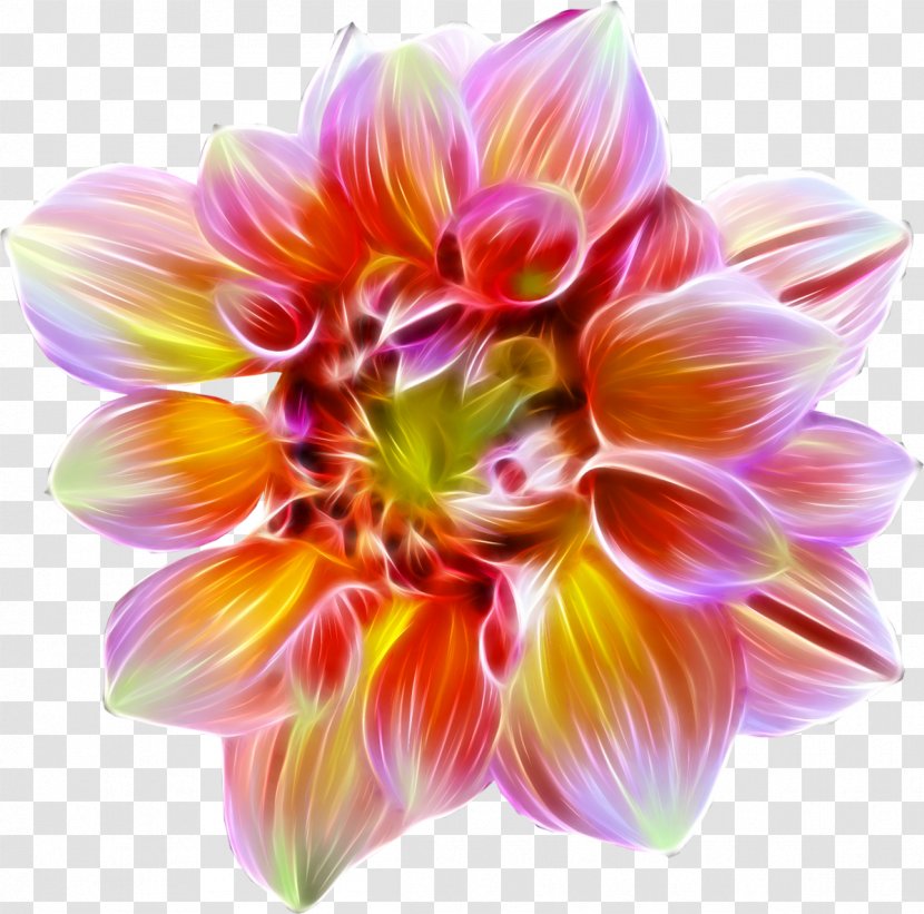 Flower Watercolor Painting Floral Design Clip Art - Annual Plant - Dahlia Transparent PNG