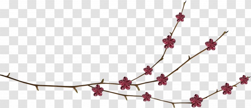 Plant Stem Vine Tree - Memories Transparent PNG