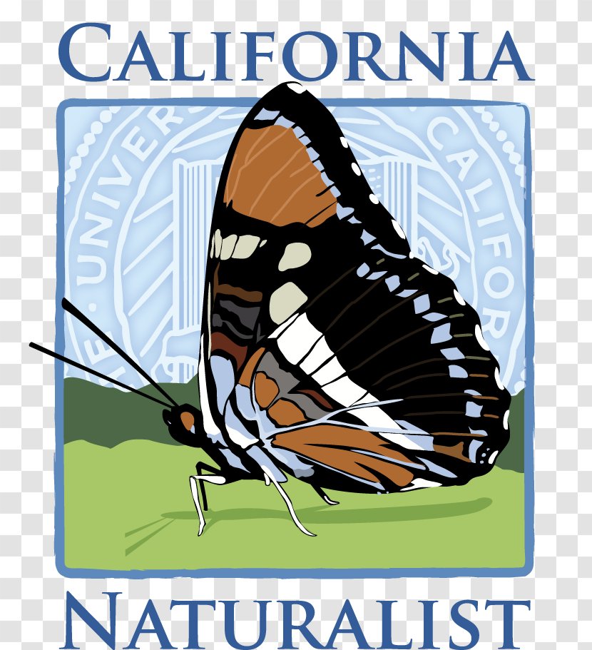 Monarch Butterfly California Naturalist - 2019 - Local Edition Point Reyes National Seashore Nature Pacific PlateCamp Ocean Pines Transparent PNG