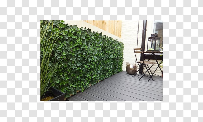 Hedge Fence Garden Ivy Vine - Balcony Transparent PNG