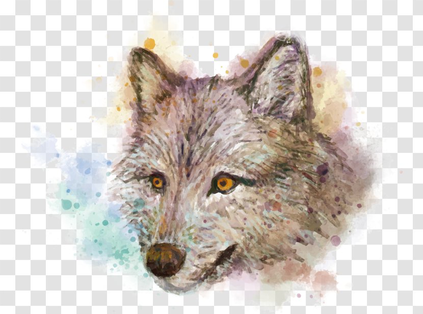 Red Fox Coyote Gray Wolf Jackal Snout - Animal Transparent PNG