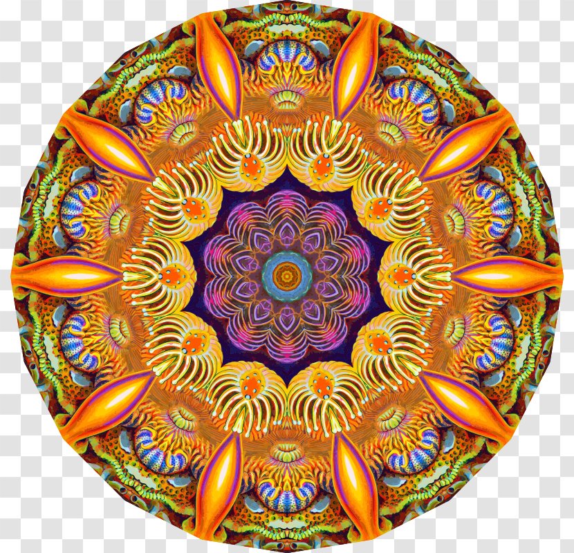 Mandala Sacred Geometry Ritual Drawing Coloring Book - Symmetry - Ernst Haeckel Transparent PNG