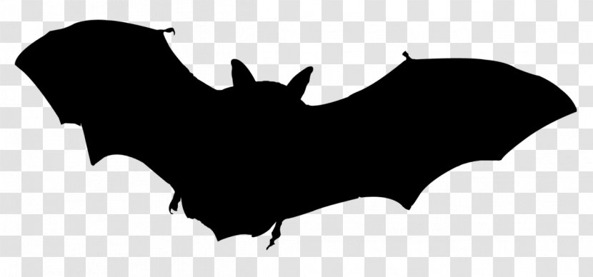 Bat Clip Art Vector Graphics Royalty-free Stock Photography - Vampire Transparent PNG