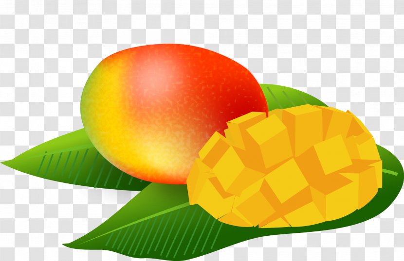 Mangifera Indica Tropical Fruit Art - Food - Mango Pic Transparent PNG