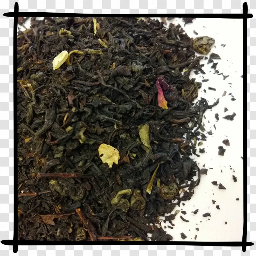 Assam Tea Earl Grey Oolong Nilgiri - Tieguanyin - Afternoon Transparent PNG