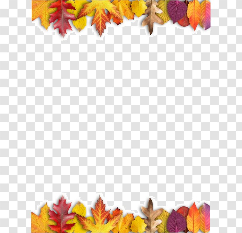 Ojo Travieso Maple Leaf Autumn Leaves - Festival Transparent PNG