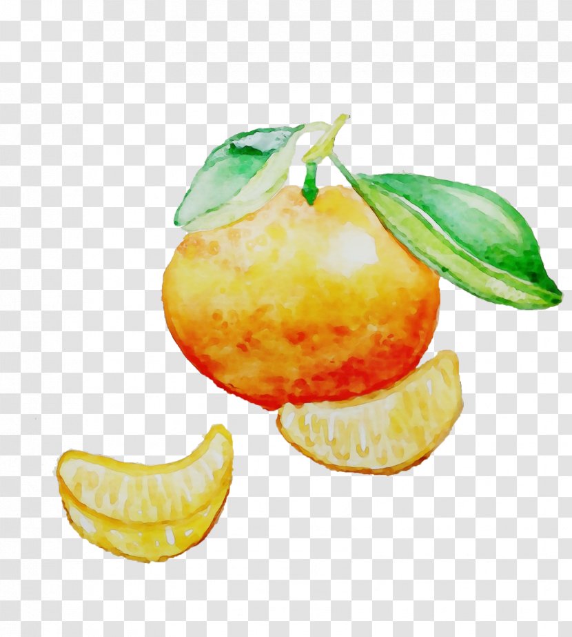 Fruit Food Citrus Plant Tangerine - Lemon - Accessory Transparent PNG