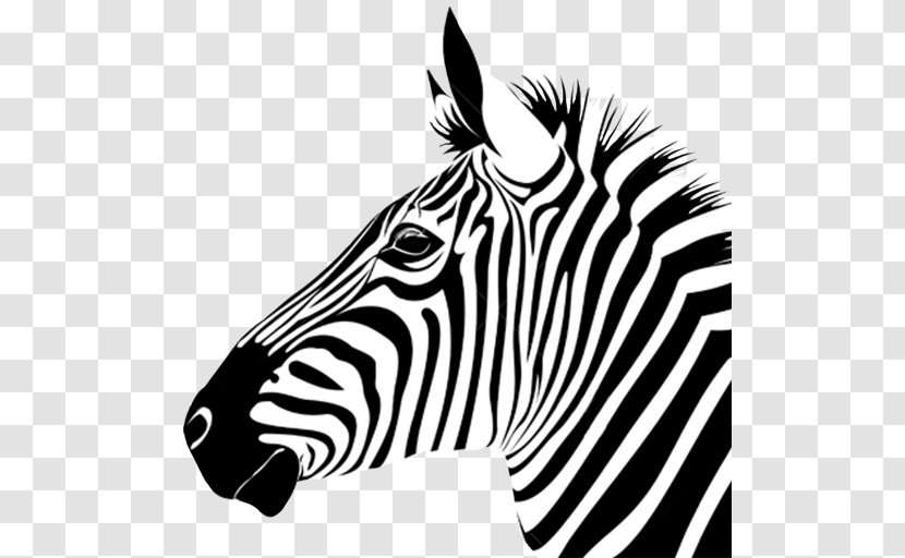 T-shirt Zebra Horse Zazzle Clothing - Embroidery Transparent PNG