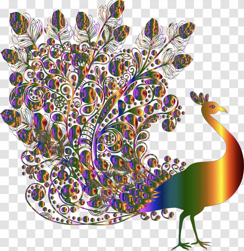 Bird Peafowl Vector Graphics Stock.xchng Image - Galliformes Transparent PNG
