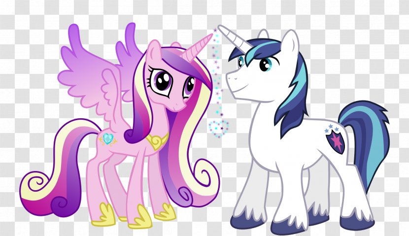 Princess Cadance Shining Armor Twilight Sparkle Pony Celestia - Flower - Nostalgia Vector Transparent PNG