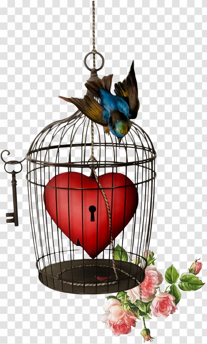 Birdcage Clip Art - Gratis - Cupid Transparent PNG