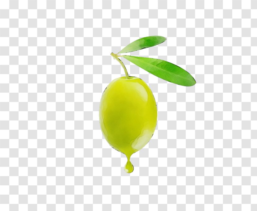 Green Plant Fruit Yellow Leaf - Food - Flowering Olive Transparent PNG