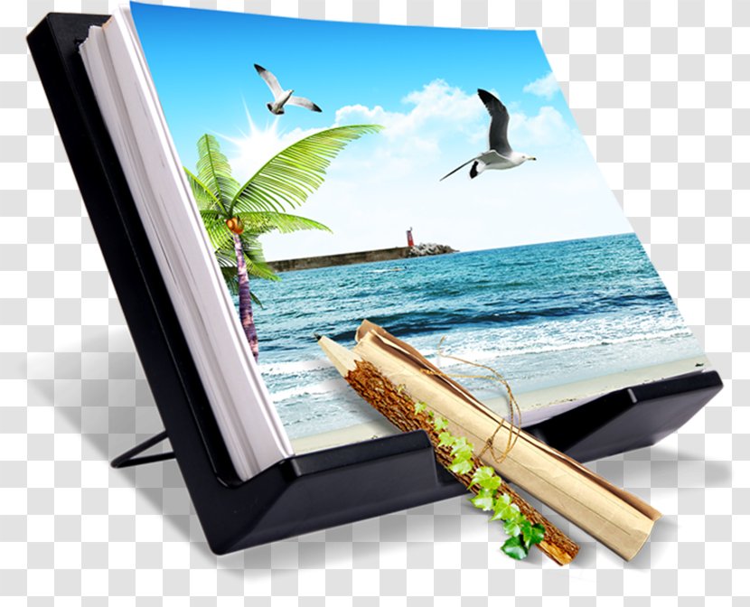 Desktop Wallpaper Download High-definition Television - Photographic Paper - Leisure Transparent PNG