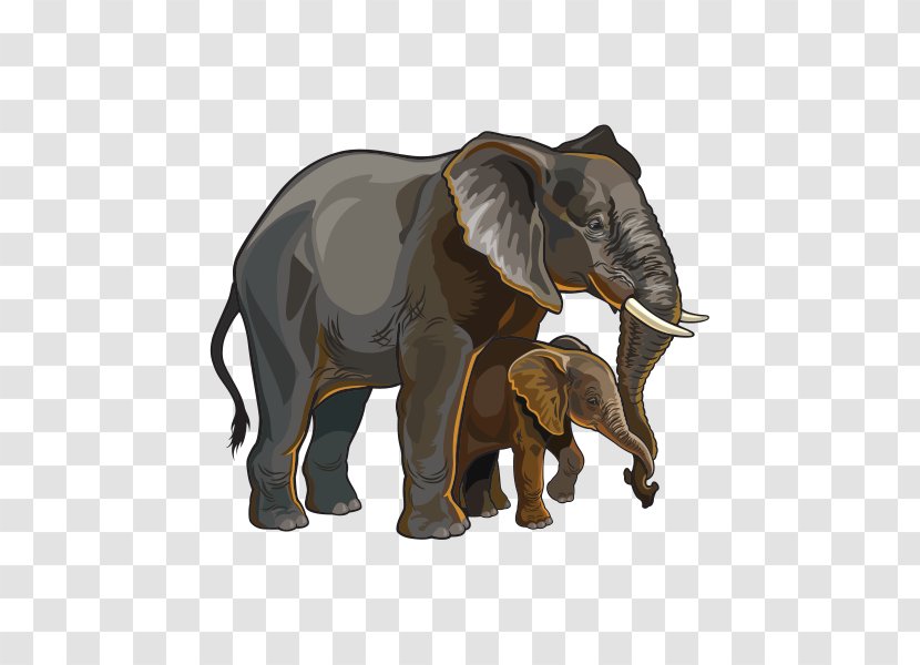 Asian Elephant African Vector Graphics Royalty-free - Wildlife Transparent PNG