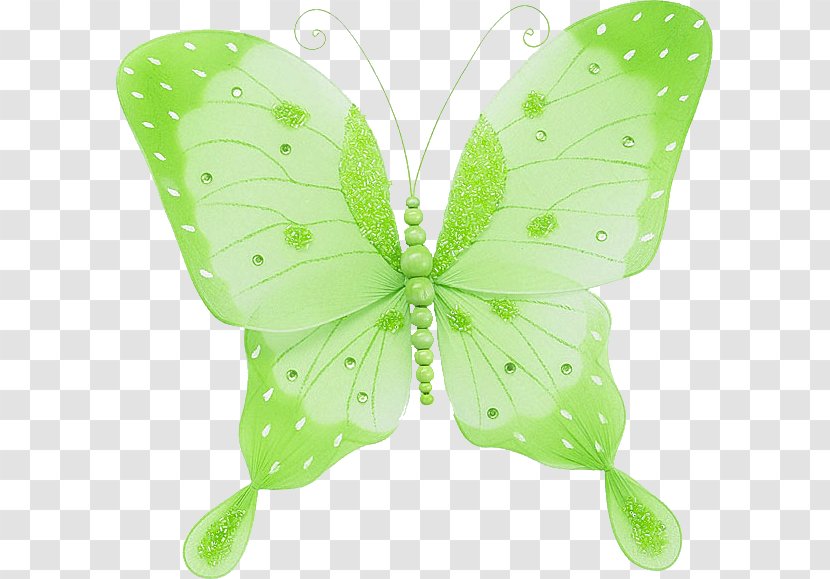 Brush-footed Butterflies Butterfly Gardening Insect - Wing Transparent PNG