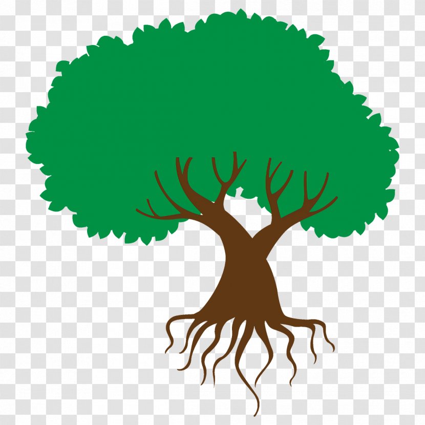 Green Tree Root Plant Clip Art - Logo Transparent PNG