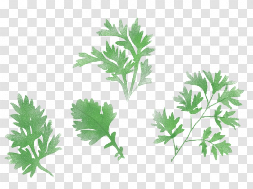 Carrot Cartoon - Plane - Lovage Chinese Celery Transparent PNG