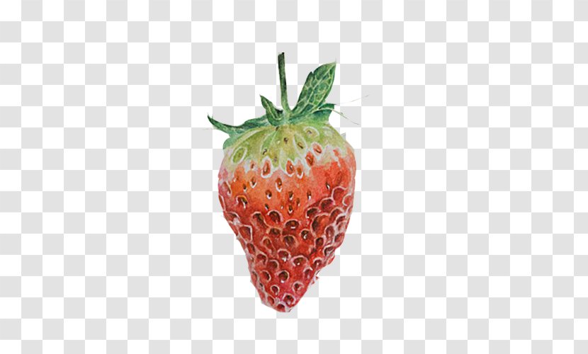 Painting Red Amorodo Accessory Fruit Computer File - Natural Foods - Strawberry Hand Material Picture Transparent PNG