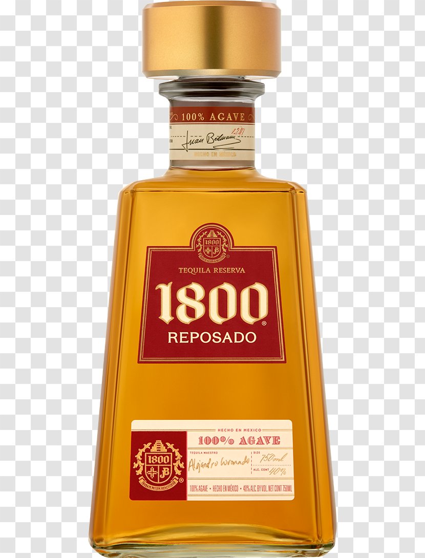 1800 Tequila Liquor Olmeca Reposado - Drink Transparent PNG