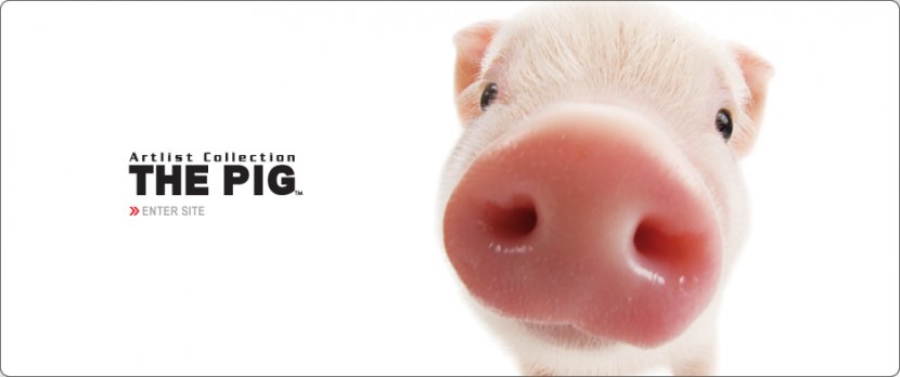 Pig Farming Clip Art - Nose Transparent PNG