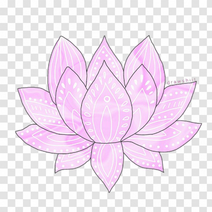 Petal Flower Transparency And Translucency Drawing - Purple - Lotus Transparent PNG