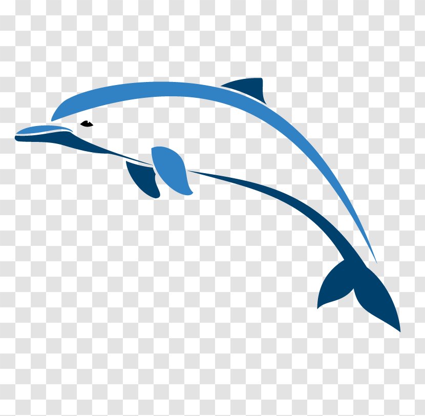 Oceanic Dolphin Porpoise - Sky Transparent PNG