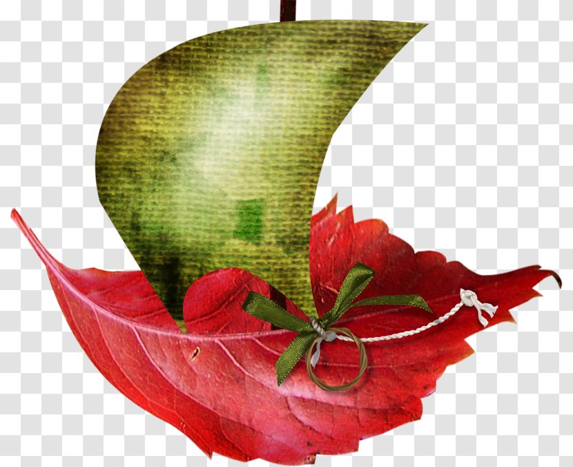 Cut Flowers Floral Design Leaf Petal Transparent PNG