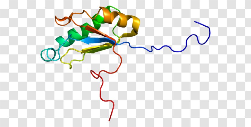 HTATSF1 Gene HIV Tat Nucleic Acid Sequence Protein - Transcription Transparent PNG