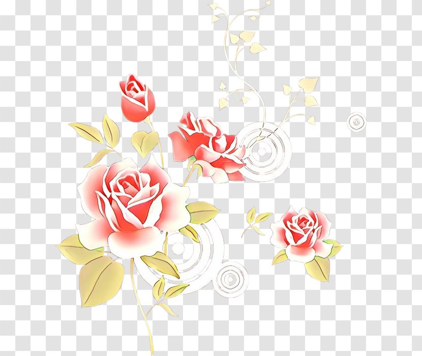 Rose - Family Plant Transparent PNG