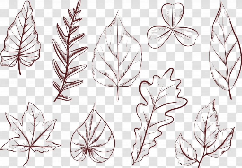 Plant Leaves Drawing Petal Leaf Shape - Hand Painted Plants Transparent PNG