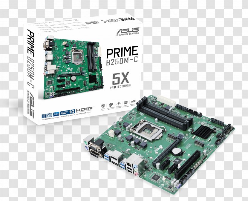 MicroATX LGA 1151 CPU Socket Asus PRIME B250M-PLUS Motherboard - Electronics - Intel Turbo Boost Transparent PNG