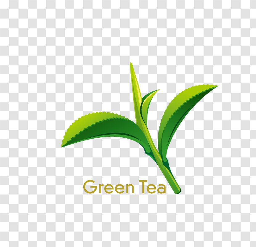 Green Tea Coffee Juice Lemonade Transparent PNG