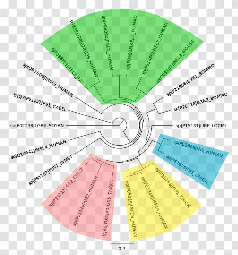 Line Angle Material Diagram - Green Transparent PNG