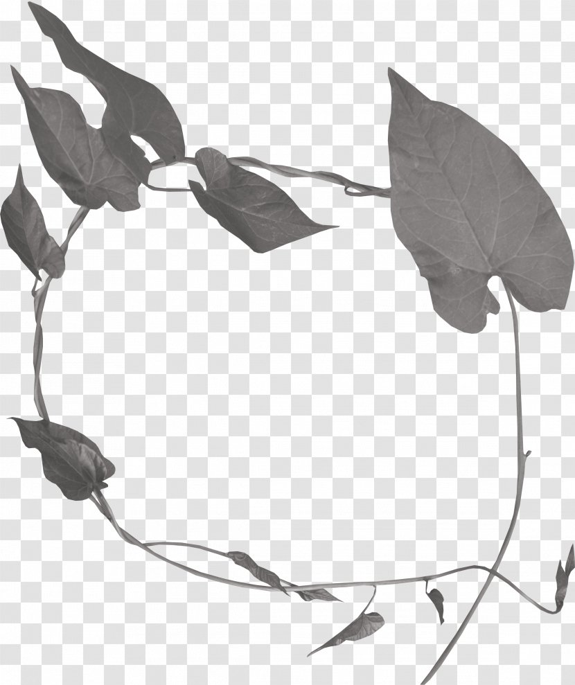 Leaf Wreath Black And White - Grey - Elf Leaves Transparent PNG