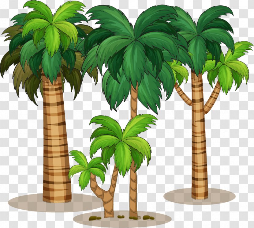 Coconut Milk Tree - Arecales - Posters Beach Vector Material Transparent PNG
