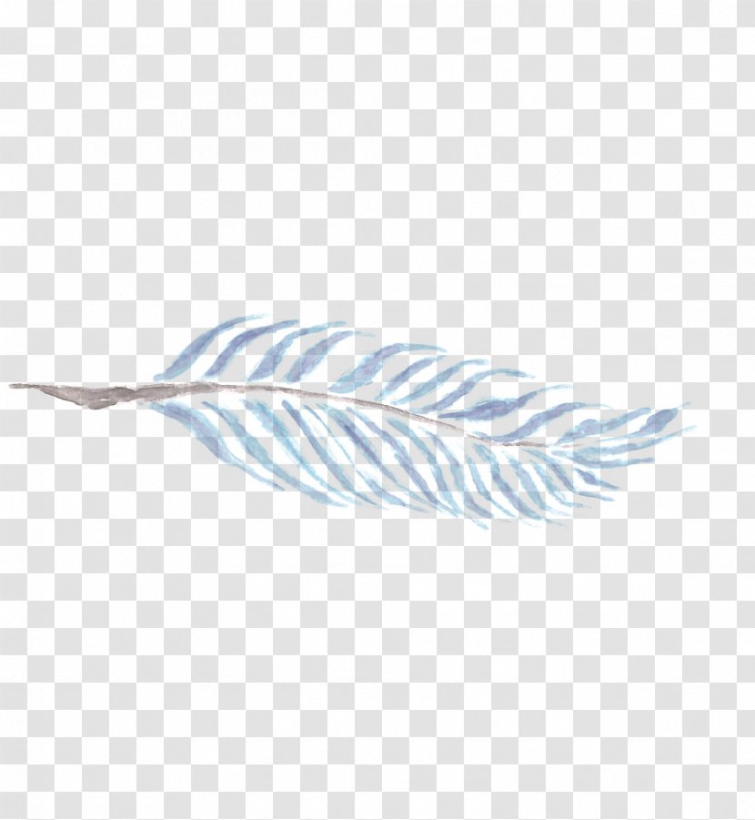 Feather Line - Quill Transparent PNG