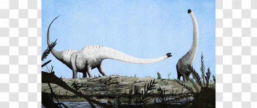 Mamenchisaurus Dinosaur Art: The World's Greatest Paleoart Pinacosaurus Apatosaurus - Animal Transparent PNG