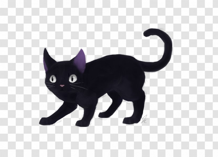 Black Cat Bombay Korat Kitten Domestic Short-haired Transparent PNG
