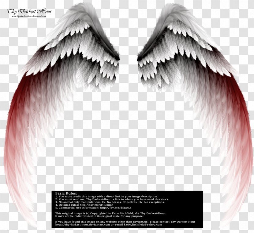 Angel Clip Art - Fictional Character - Wings Transparent PNG