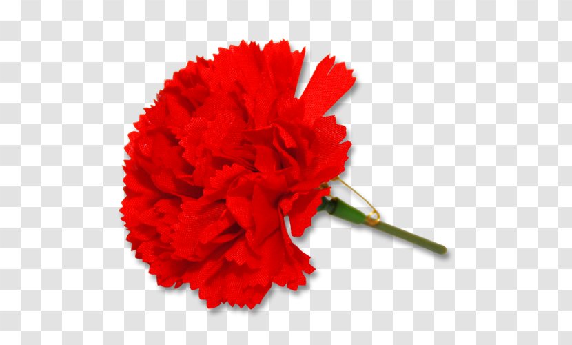 Carnation The Left Socialism International Workers' Day Strike Action - Cartoon - Flower Transparent PNG