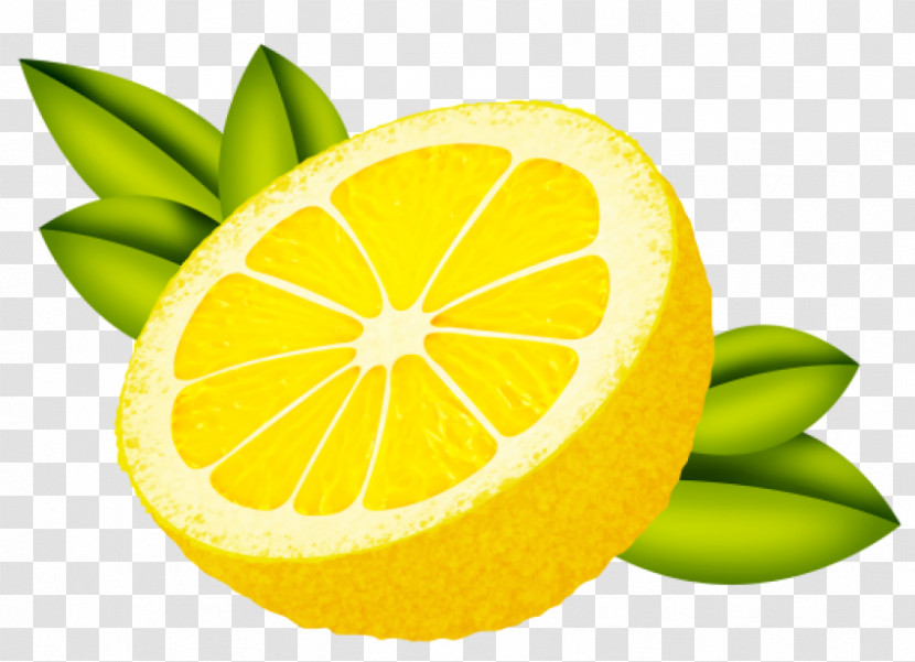 Lemon Sweet Lemon Key Lime Lime Grapefruit Transparent PNG
